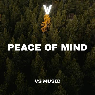 VS Music's cover