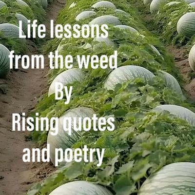 Life Lessons from the Weed's cover