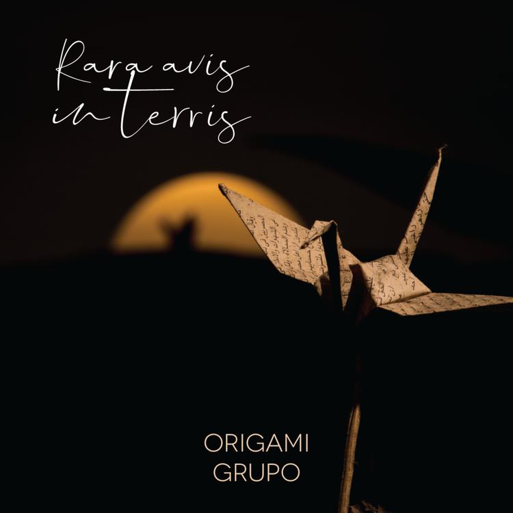 Origami Grupo's avatar image