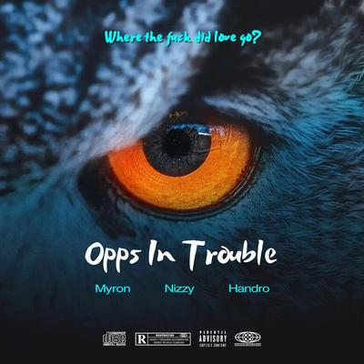 Opps In Trouble's cover