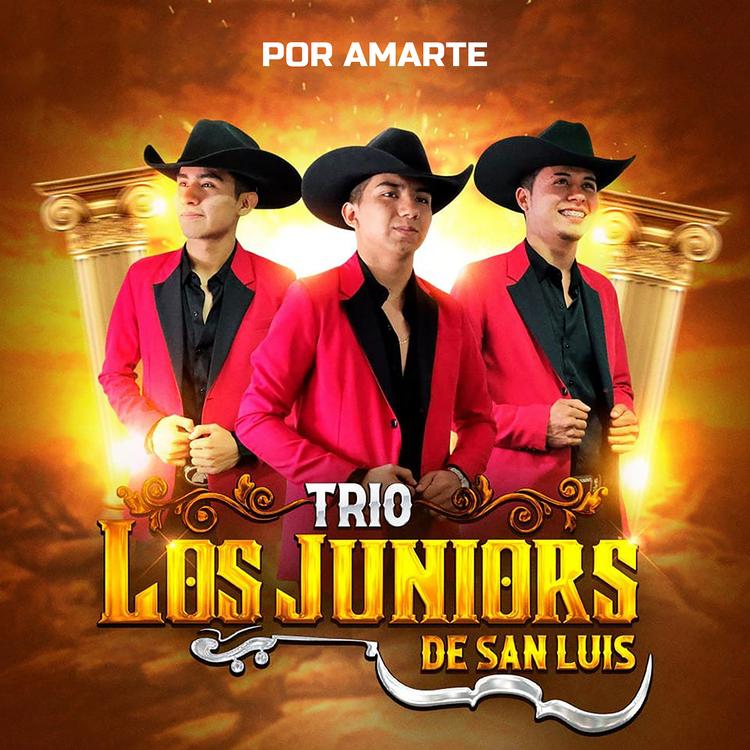 Trío Los Juniors de San Luis's avatar image
