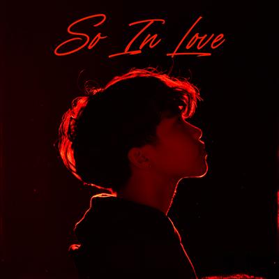 So In Love By Breezee's cover