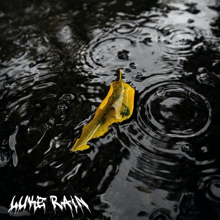 Luke Rain's avatar image