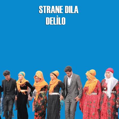 Strane Dıla's cover