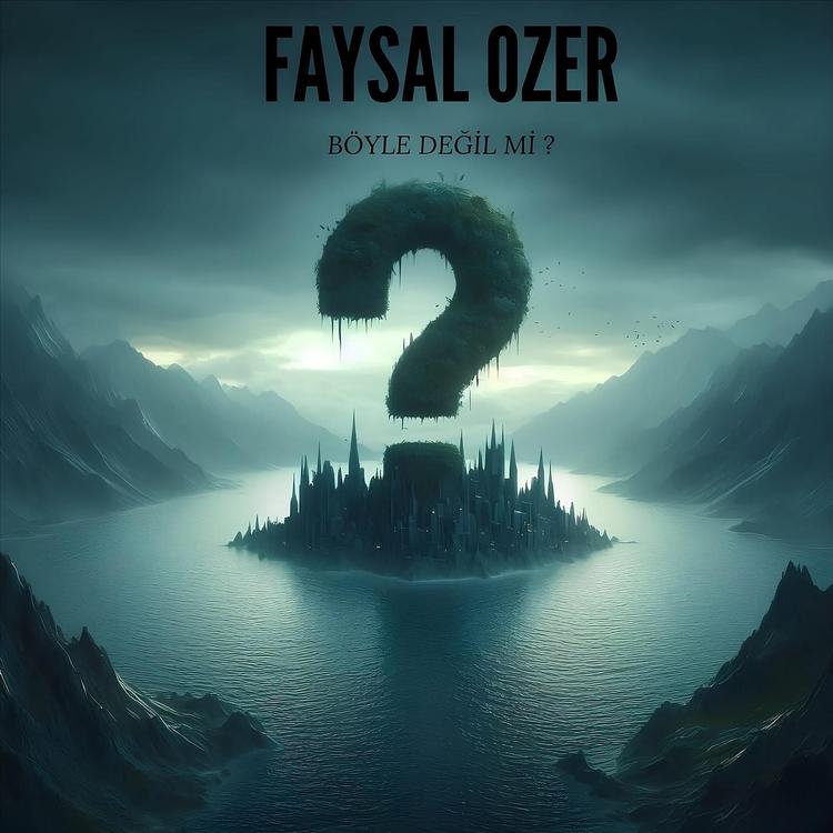 FAYSAL OZER's avatar image