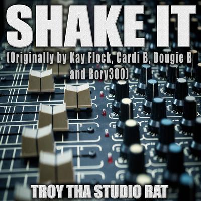 Shake It (Originally Performed by Kay Flock, Cardi B, Dougie B and Bory300) (Instrumental) By Troy Tha Studio Rat's cover