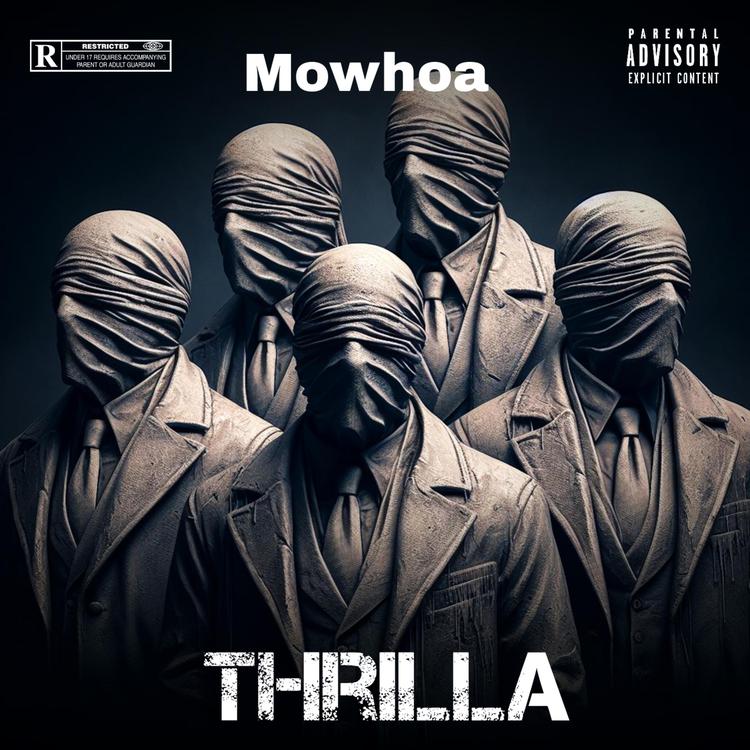 Mowhoa's avatar image