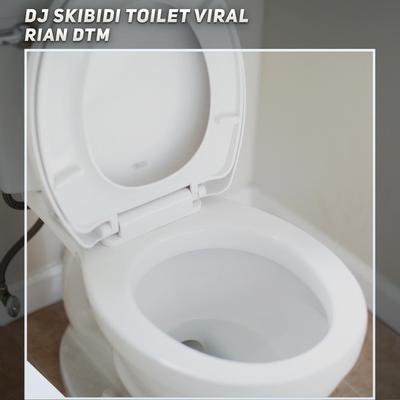 Dj Skibidi Toilet Viral's cover