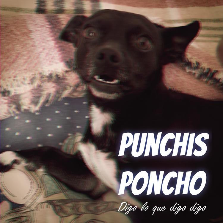 Punchis Poncho's avatar image