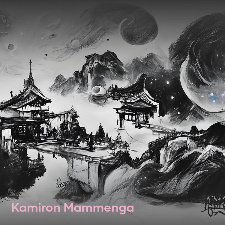 Kamiron Mammenga's avatar image