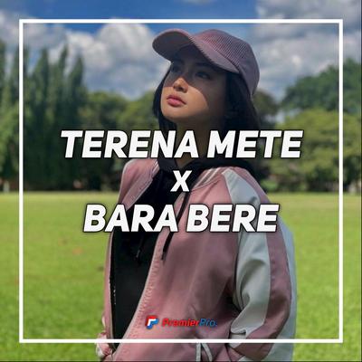 TERENA METE X BARA BERE's cover