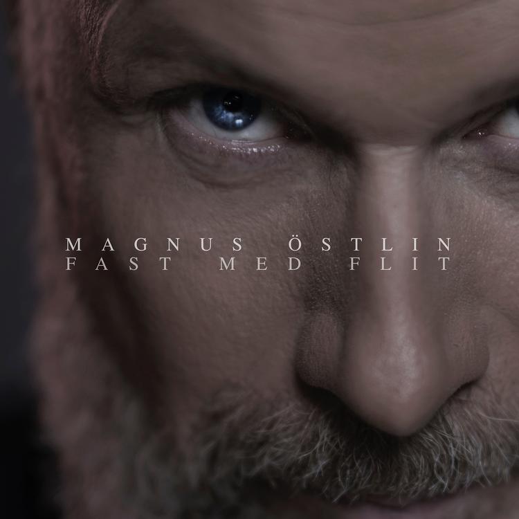 Magnus Östlin's avatar image