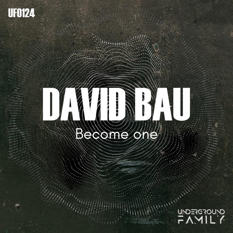 David Bau's avatar image