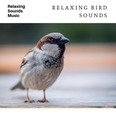 Forest Bird Sounds By Nature Radiance, Bird Sounds's cover