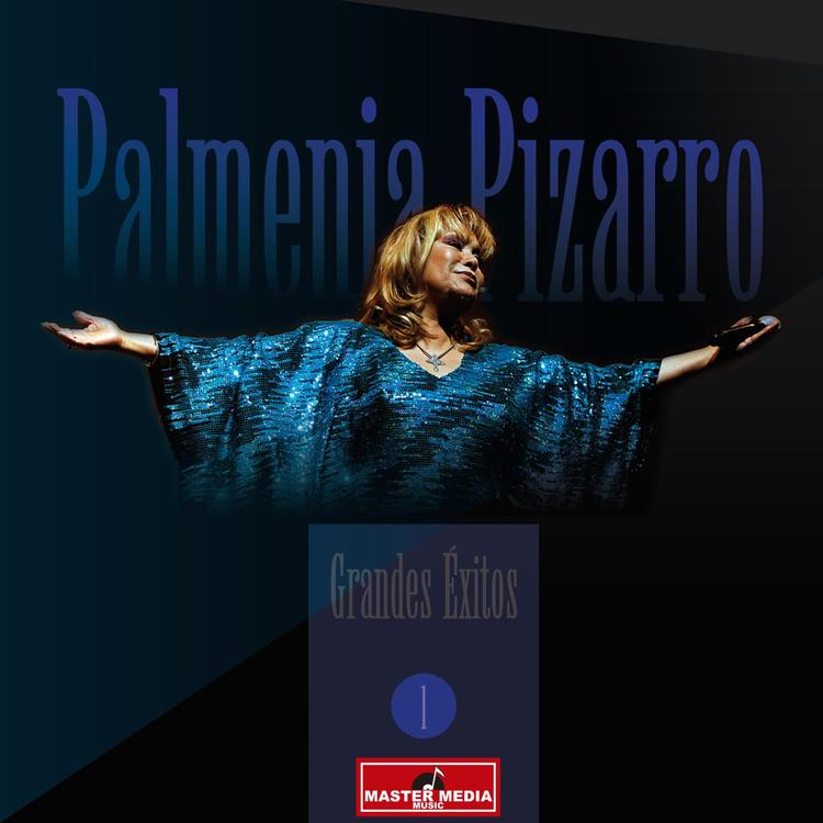 Palmenia Pizarro's avatar image