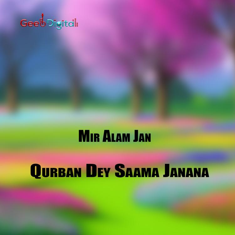 Mir Alam Jan's avatar image