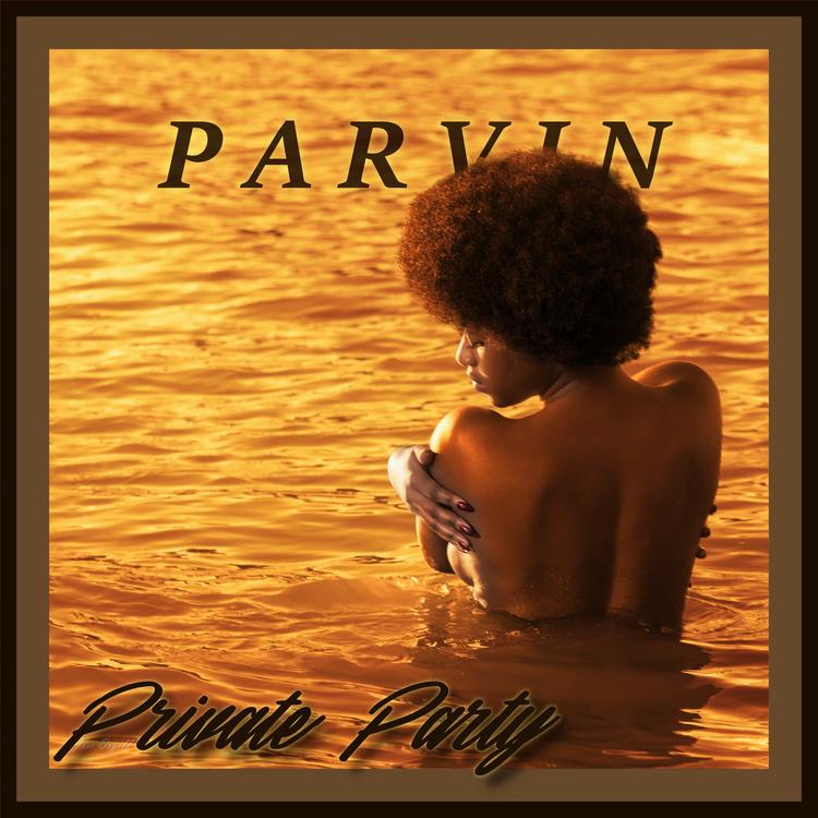 Parvin's avatar image