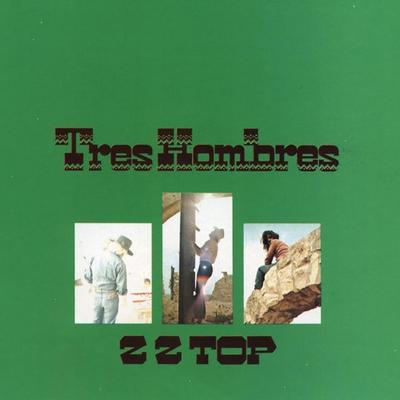 Beer Drinkers & Hell Raisers (2006 Remaster) By ZZ Top's cover