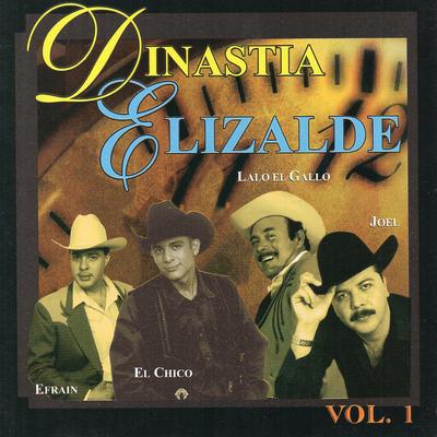 Dinastia Elizalde, Vol. 1's cover