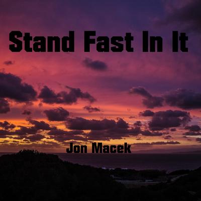 Stand Fast in It's cover