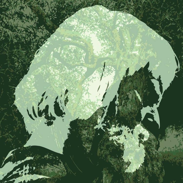 Kalle Zwilgmeyer's avatar image