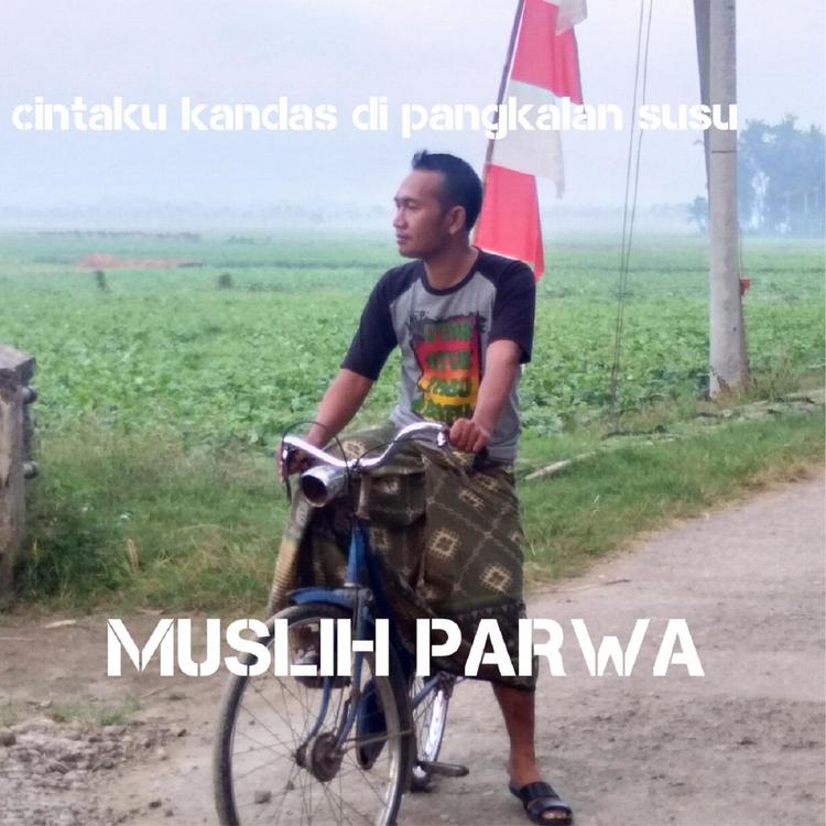 Muslih Parwa's avatar image