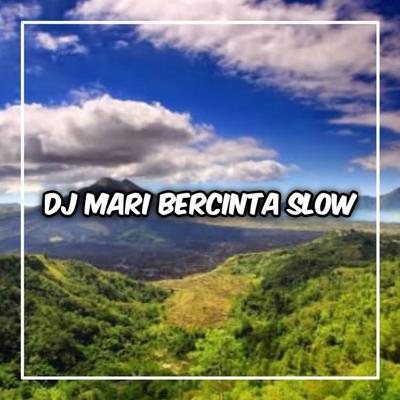 DJ Mari (Instrumen)'s cover