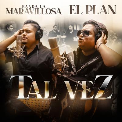 Tal Vez's cover