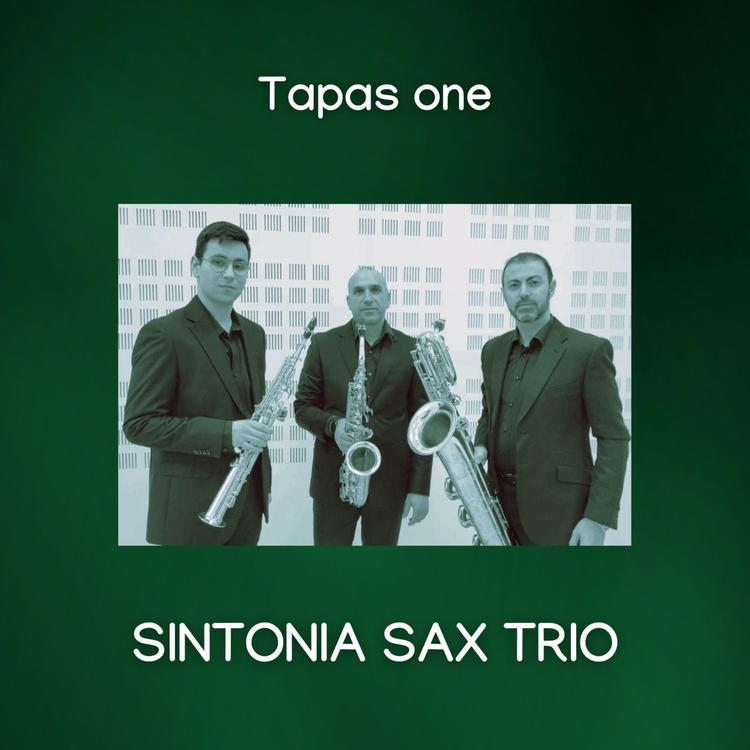 SINTONIA SAX TRIO's avatar image