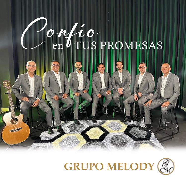 Grupo Melody's avatar image