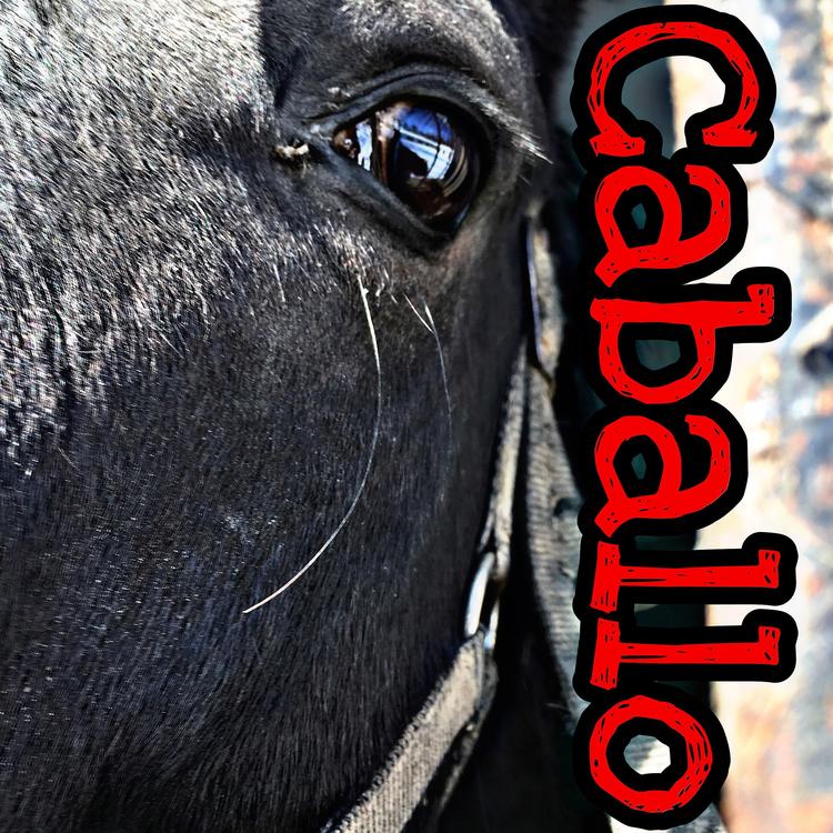 Caballo's avatar image