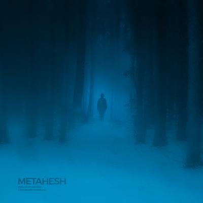 Proof of My Existence By METAHESH's cover