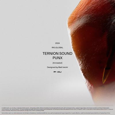 Ternion Sound's cover