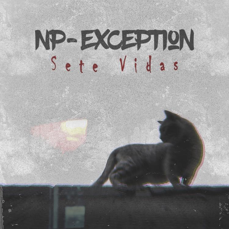 NP-Exception's avatar image