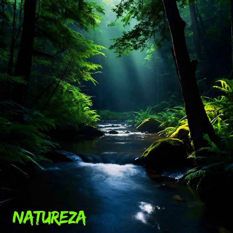 Vozes da Natureza's avatar image