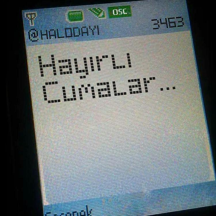 Halodayı's avatar image