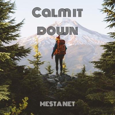 Calm It Down (Slowed Remix) By MESTA NET's cover