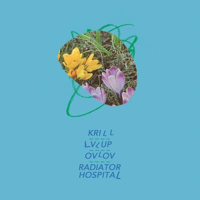 Krill / LVL UP / Ovlov / Radiator Hospital - Split Release's cover