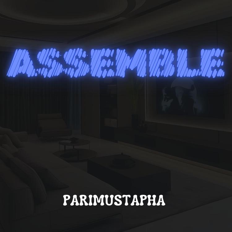 PARIMUSTAPHA's avatar image