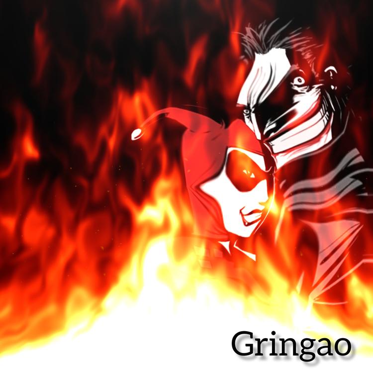 Gringao's avatar image