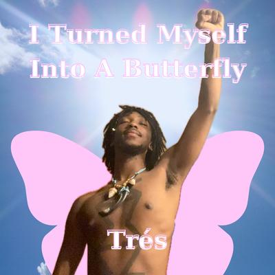 I Turned Myself Into A Butterfly's cover