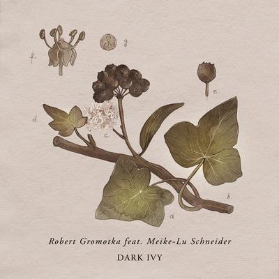 Dark Ivy By Robert Gromotka, Meike-Lu Schneider's cover