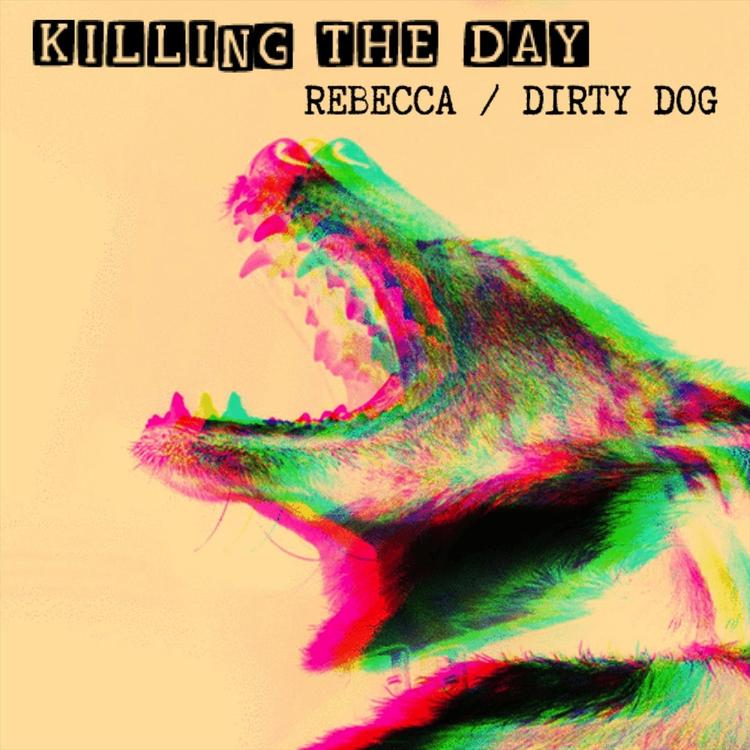 Killing the Day's avatar image