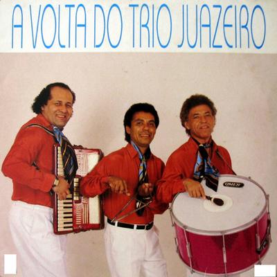 Patriota de Verdade's cover