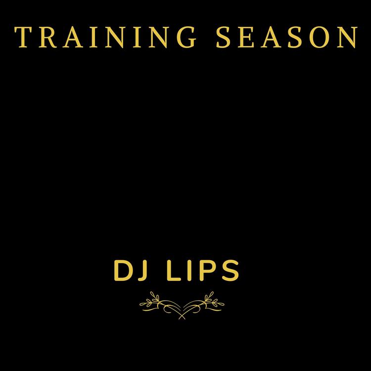 Dj Lips's avatar image