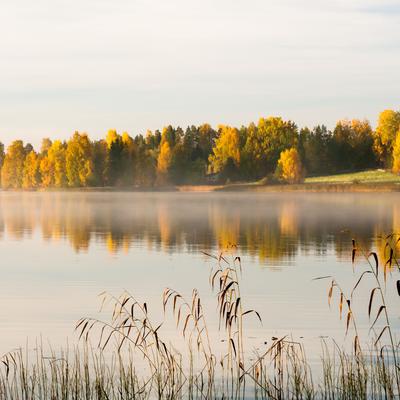 Waterscapes Reflective Serenity Bliss's cover