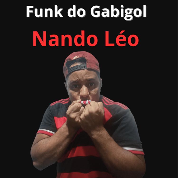 Nando Leo's avatar image