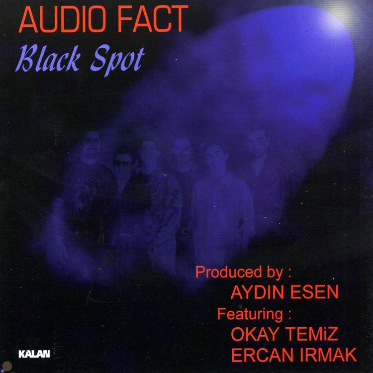 Audio Fact's avatar image