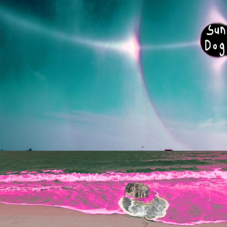 Sun Dog's avatar image