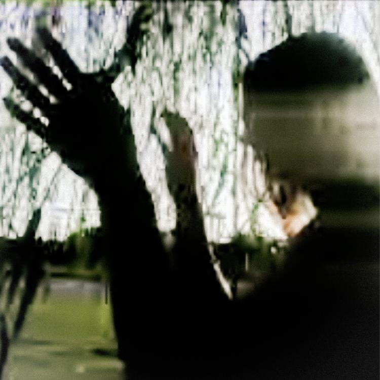Mundo Video's avatar image